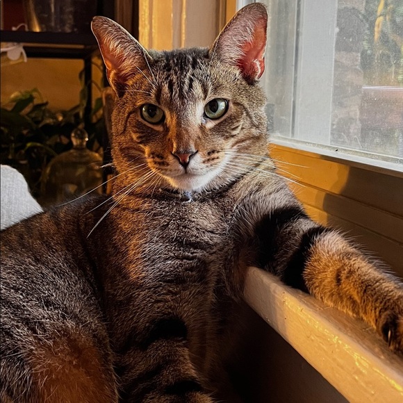 posher meet & greet 🔥 - Picture 3 of 16